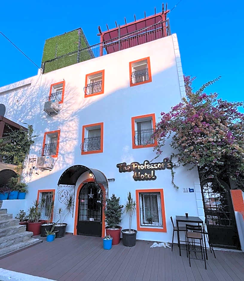 The Professor's Hotel