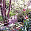 The Falls Montville