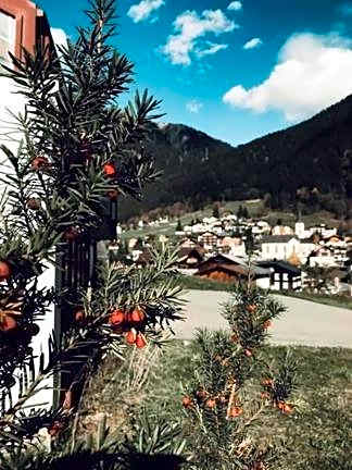 Hotel Daneu Gaschurn