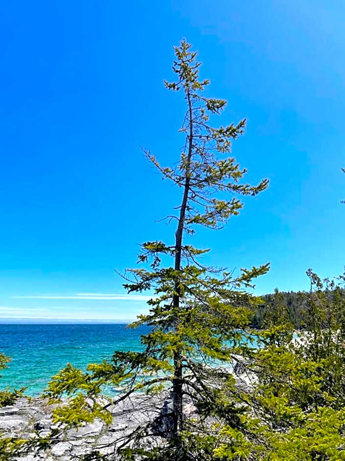 Waterfront W Sauna, Hot Tub & Boat Slip
