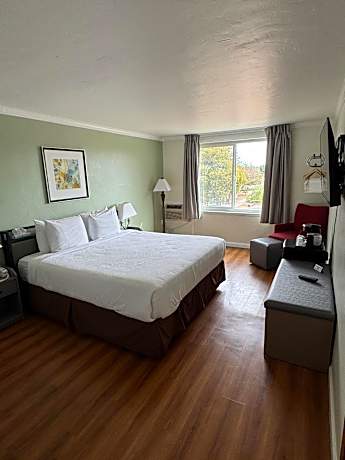 Standard Queen Room