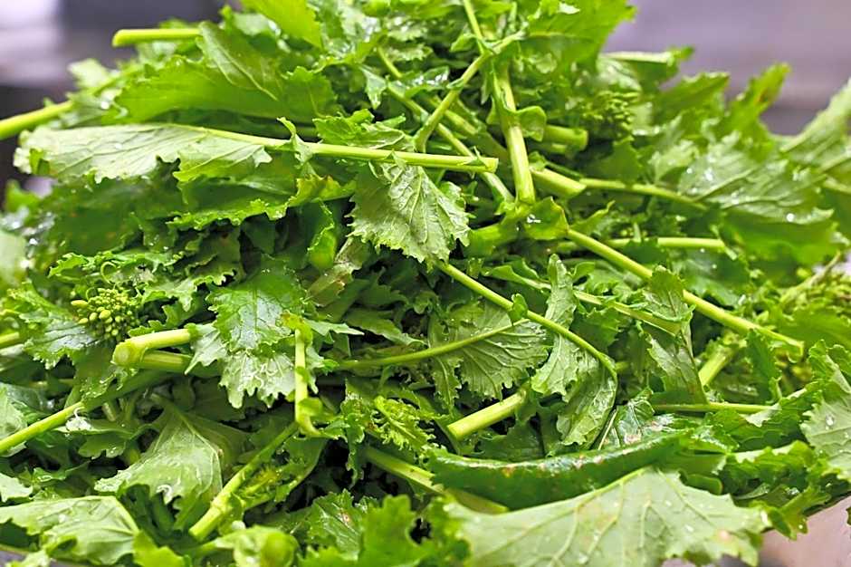 Masseria Nobile Relais