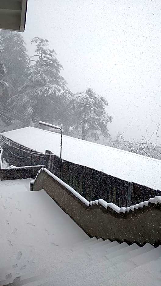 Hotel Amar Palace Shimla