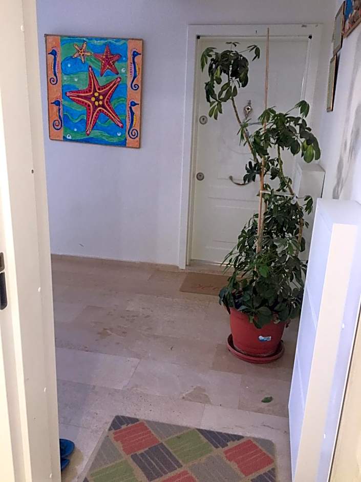 Dalaman Pansiyon & Family rooms