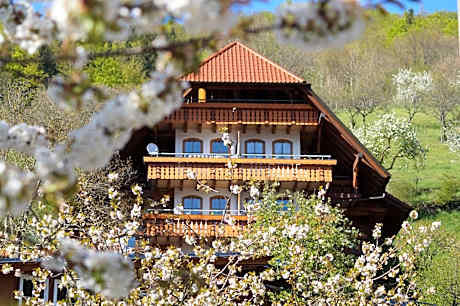 Ehrenmättlehof Faißt