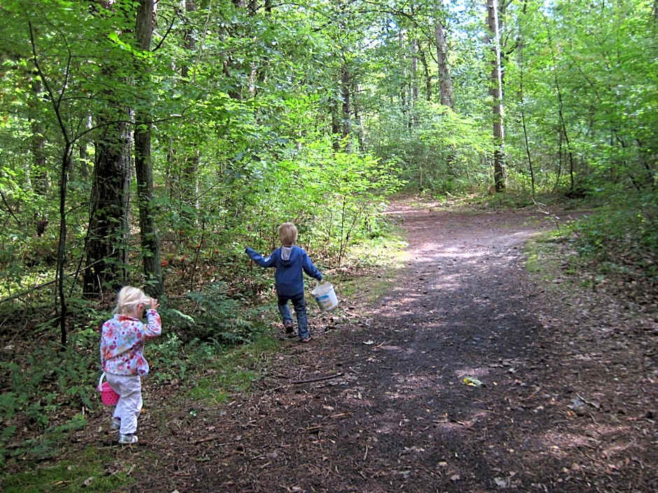 De Cyprian Bed & Breakfast