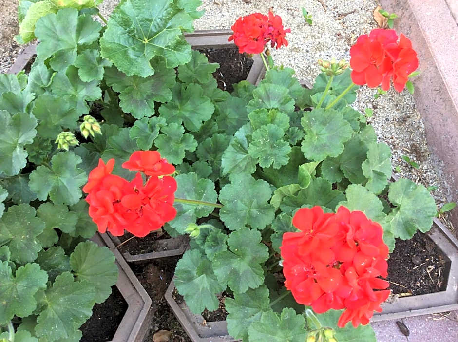 Panorama Residence Schlossblick