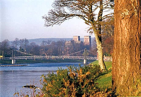 Bed in 10-Bed Mixed Dormitory Room