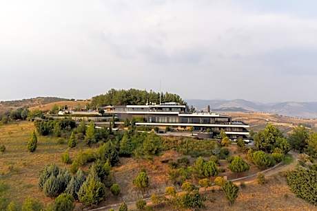 Ananti City Resort