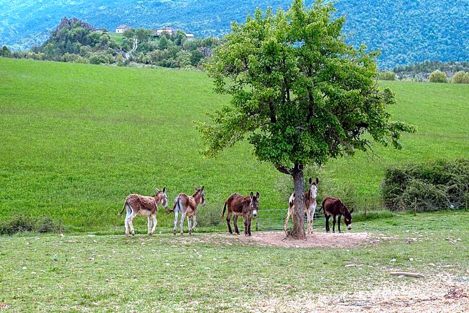 La Borda de Pastores