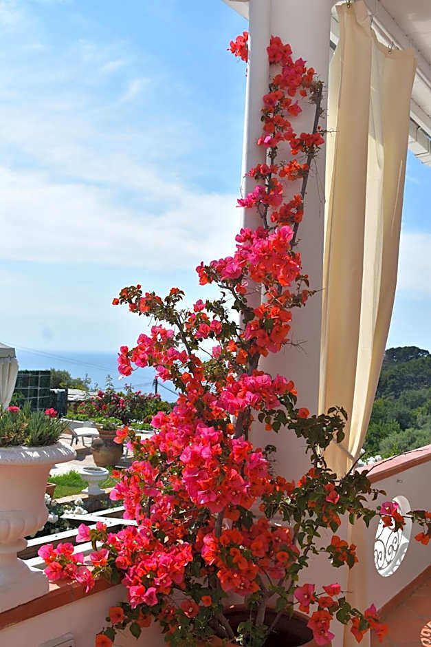 B&B Villa Cristina