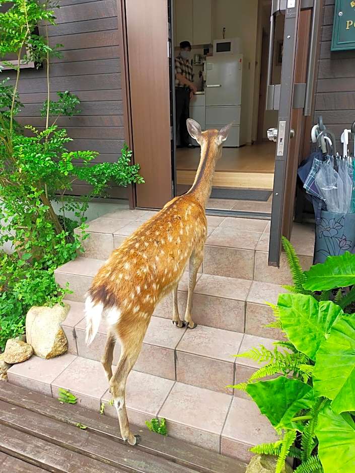 Deer hostel - 外国人向け限定 - 英語予約限定