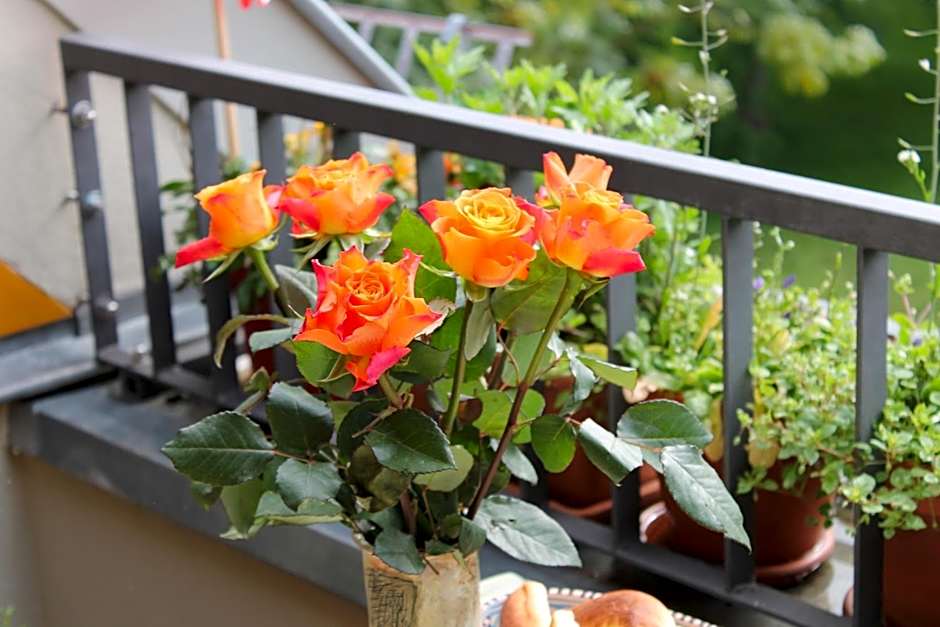 Bio Hotel Kipperquelle