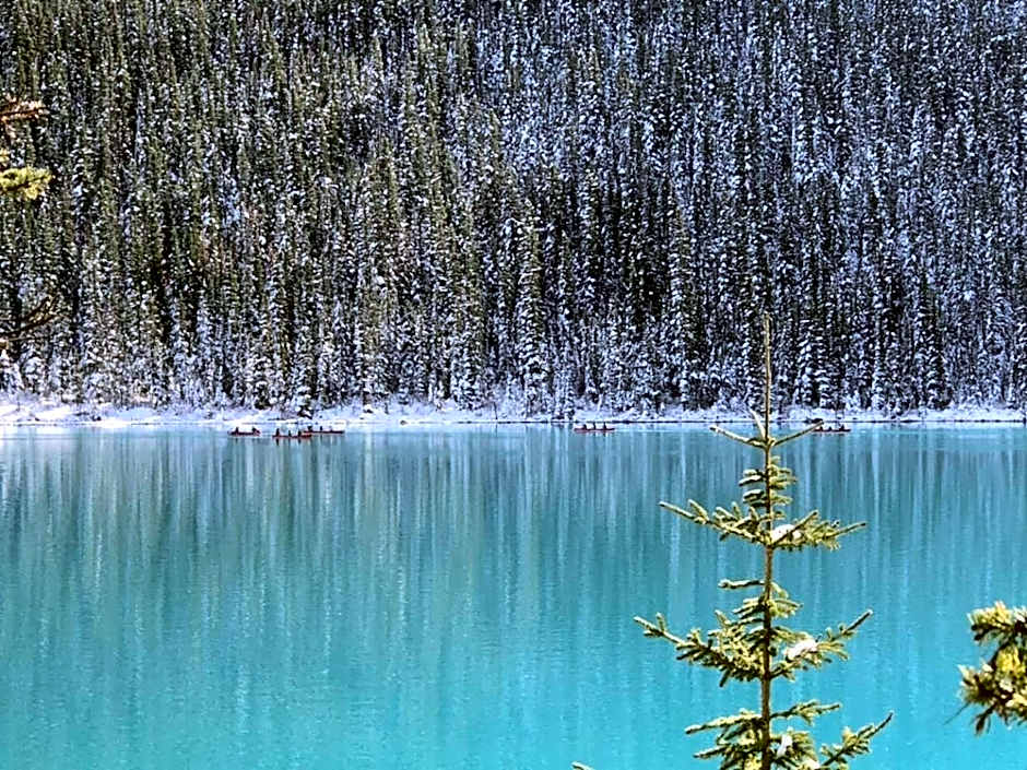 Sunny Tranquil Woods Turret in Falcon Crest Lodge