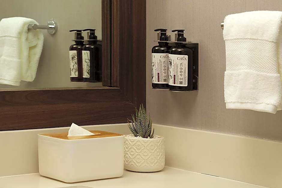 voco Saltillo By IHG