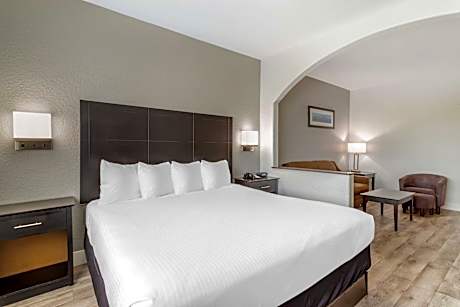 Suite King Bed Mobility Accessible Bathtub Sofabed Microwave Fridge NSMK Full Breakfast