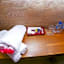 D'Padang Homestay