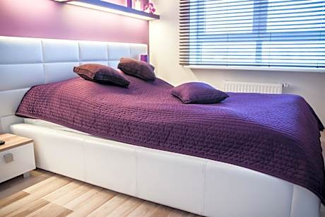 Deluxe One-Bedroom Apartment