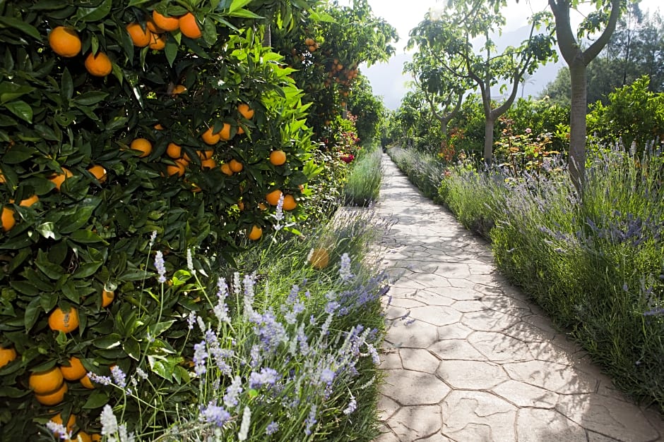 Hotel Finca Ca's Curial