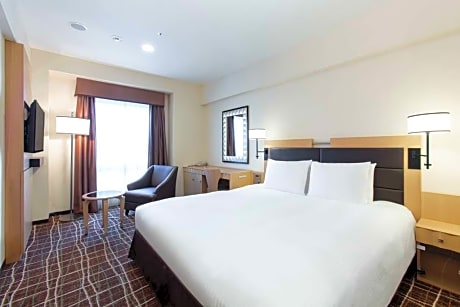 1 King Bed Guestroom