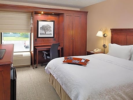 Hampton Inn Long Island/Islandia