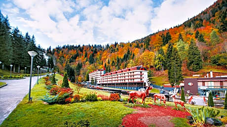 Sairme Hotels & Resorts