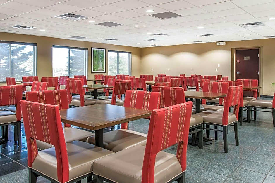 Comfort Suites Wixom - Novi