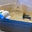 Quality Inn Bolingbrook I-55