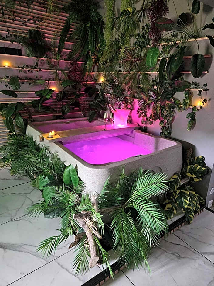 L'appart'hôtel 23ème avenue - Spa privatif - Love room - Appartements à thèmes