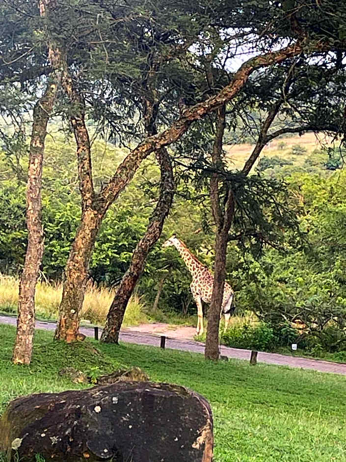 Khululeka Safaris Lodge