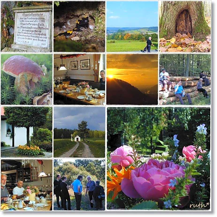 Hotel garni Lindenhof im Steigerwald