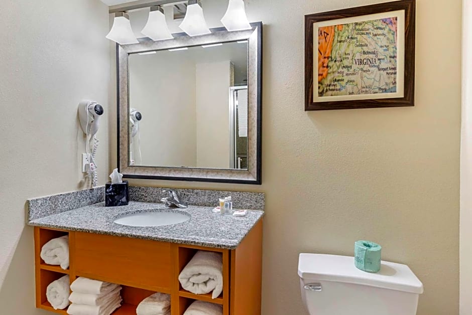 Comfort Suites At Virginia Center Commons