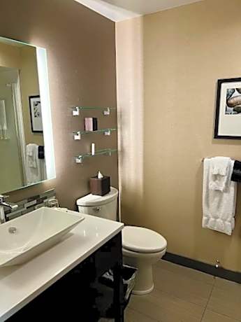 Accessible King guestroom