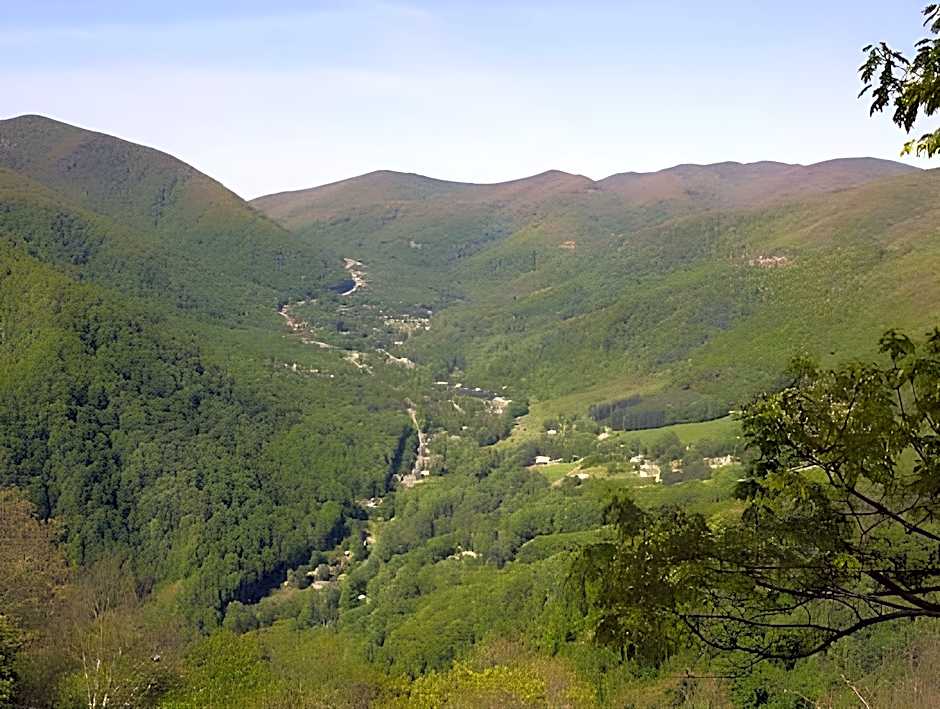 A Holiday Motel - Maggie Valley