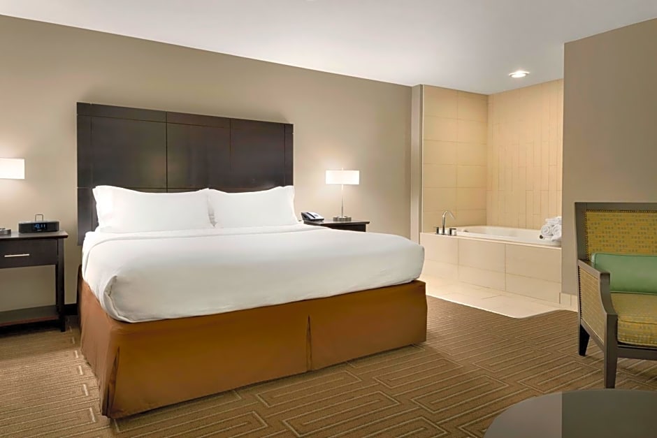 Holiday Inn & Suites Duluth-Downtown By IHG