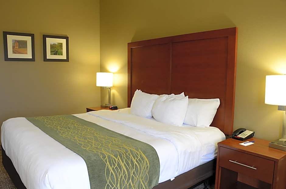 Comfort Inn & Suites Cave City