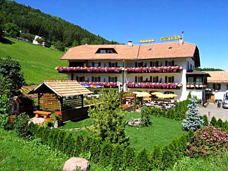 Hotel Pausa