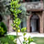 EPHESUS RETREAT