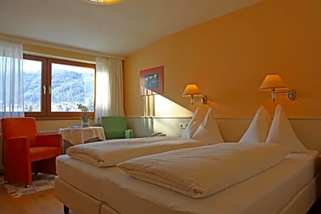 Classic Double Room with Mountain View
