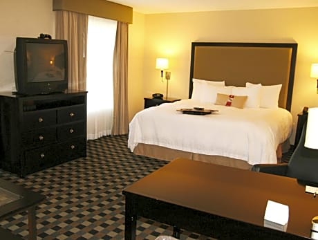 1 King Mobility Access Ri Shwr Studio Nosmok