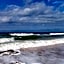 Beach Palms- Unit 102
