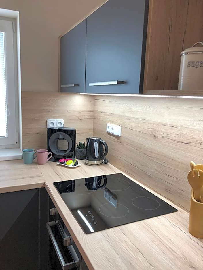 Apartmány Koněvova