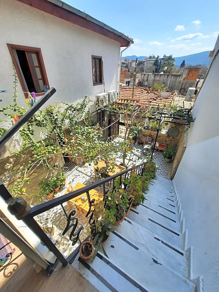 Ali Baba's House