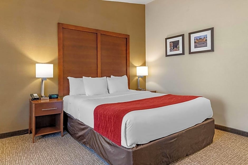 Comfort Inn Albany/Glenmont