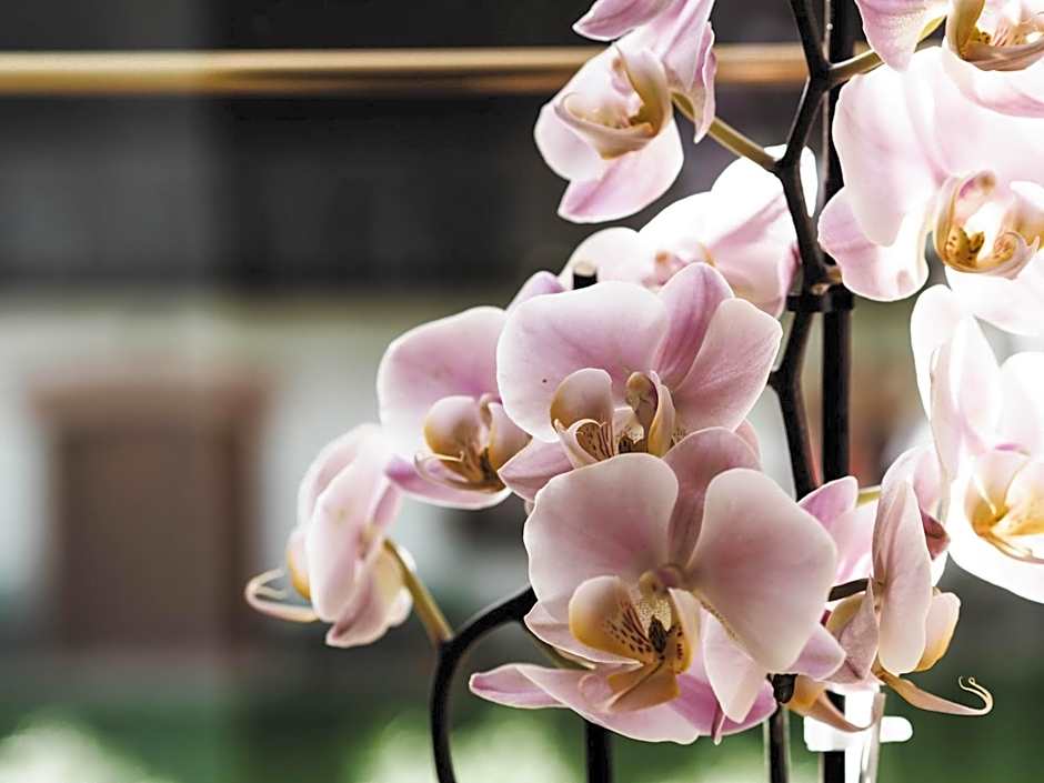 Gasthof zum Moosmann - Familie Pachernigg