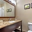 Comfort Suites Auburn near I-69