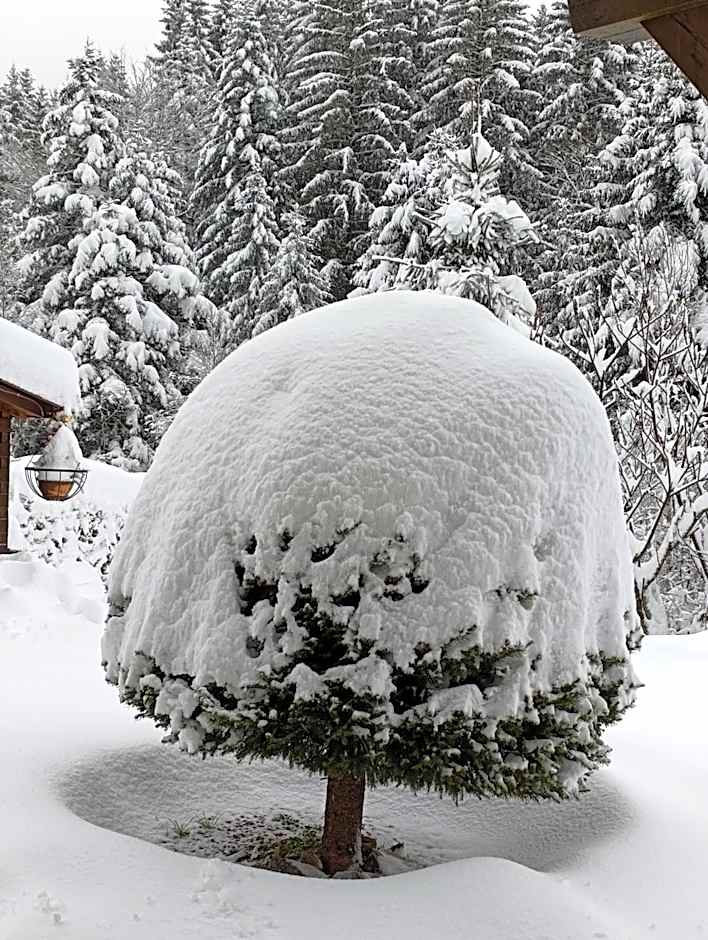 L'Eden de Floridylle