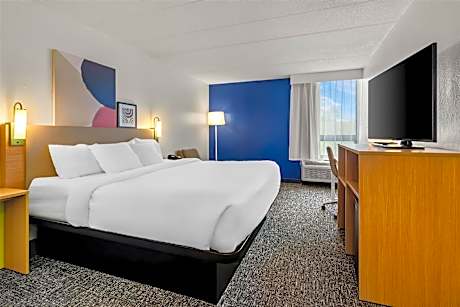 1 King Bed