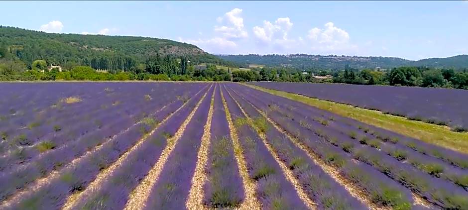 Le Nesk Ventoux - Hotel