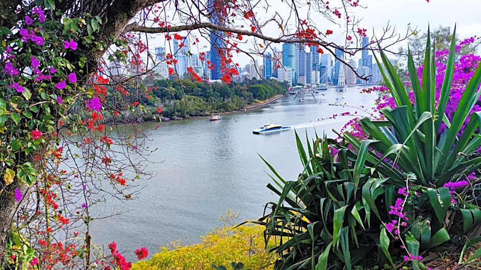 cliffinn kangaroo point